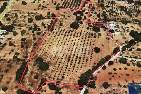 Villa i Olhao, Faro, Olhao - € 295.000 | Ref: 165230020 - foto 17