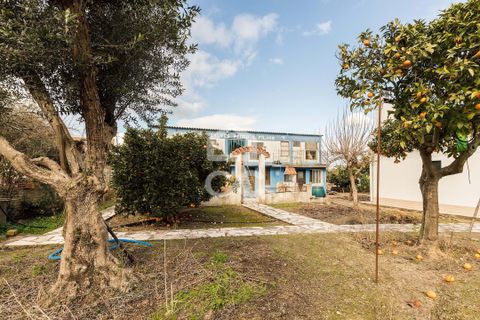 Tomt i Mora, Evora, Mora - € 27 500 | Ref: 318/T/03097 - foto 19