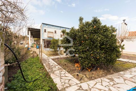 Tomt i Mora, Evora, Mora - € 27 500 | Ref: 318/T/03097 - foto 21