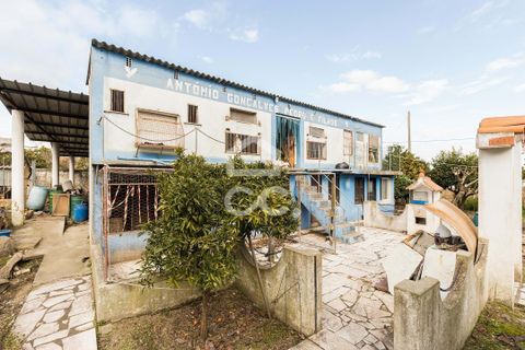 Tomt i Mora, Evora, Mora - € 27 500 | Ref: 318/T/03097 - foto 22
