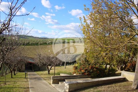 Villa i Tortoreto, Teramo, Tortoreto - € 530.000 | Ref: IB 315 - foto 4
