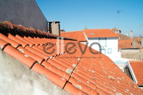 Villa i Escalos de Cima e Lousa, Castelo Branco, Escalos de Cima e Lousa - € 76.000 | Ref: 3637 - foto 26