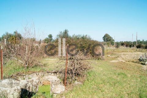 Villa i Escalos de Cima e Lousa, Castelo Branco, Escalos de Cima e Lousa - € 76.000 | Ref: 3637 - foto 27