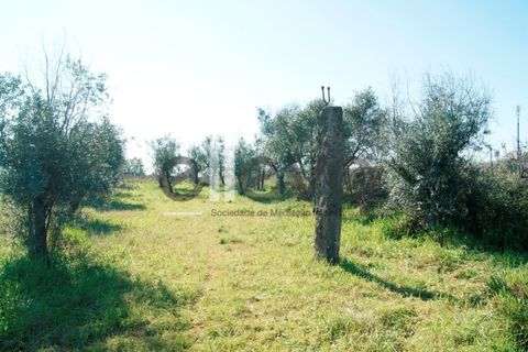 Villa i Escalos de Cima e Lousa, Castelo Branco, Escalos de Cima e Lousa - € 76.000 | Ref: 3637 - foto 28