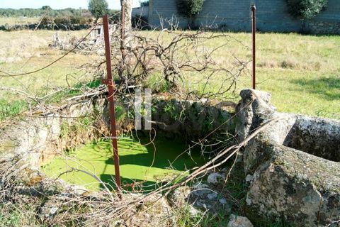 Villa i Escalos de Cima e Lousa, Castelo Branco, Escalos de Cima e Lousa - € 76.000 | Ref: 3637 - foto 31
