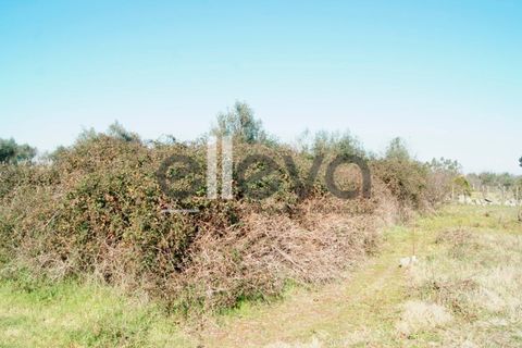 Helårsgrund i Escalos de Cima e Lousa, Castelo Branco, Escalos de Cima e Lousa - € 9.500 | Ref: 3638 - foto 2