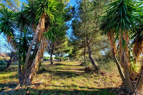 Terra a Alignan-du-Vent, Herault, Alignan-du-Vent - € 102.000 | Ref: 34B-SAINTJEAN - foto 4