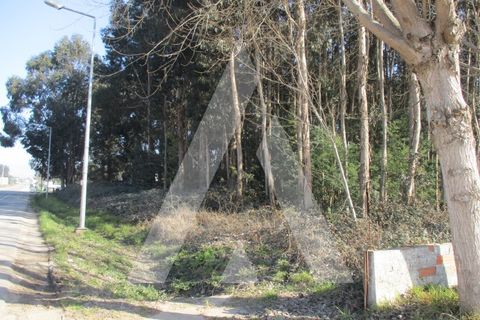 Helårsgrund i Barro, Aveiro, Barro - € 105.000 | Ref: 1051012/23 OB - foto 7