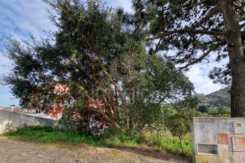 Helårsgrund i Mafra, Lisbon, Mafra - € 52.500 | Ref: L23419 - foto 2