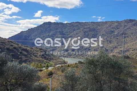 Villa a Torre de Moncorvo, Braganca, Torre de Moncorvo - € 7.000 | Ref: BG91468MG - foto 14