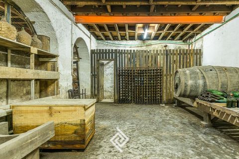 Farm i Vila Mea, Porto, Vila Mea - € 690.000 | Ref: PS-7585 - foto 27