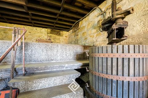 Farm i Vila Mea, Porto, Vila Mea - € 690.000 | Ref: PS-7585 - foto 29