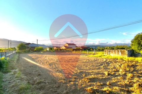 Terra a Ganfei, Viana do Castelo, Ganfei - € 55.000 | Ref: TER_159 - foto 2