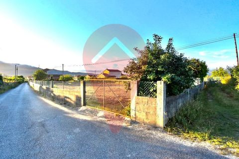 Terra a Ganfei, Viana do Castelo, Ganfei - € 55.000 | Ref: TER_159 - foto 4