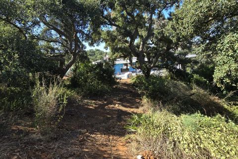 Helårsgrund i Sotogrande, Cadiz, Sotogrande - € 1.000.000 | Ref: 428-01275P - foto 3