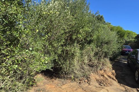 Helårsgrund i Sotogrande, Cadiz, Sotogrande - € 1.000.000 | Ref: 428-01275P - foto 6