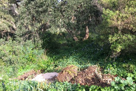 Helårsgrund i Sotogrande, Cadiz, Sotogrande - € 1.000.000 | Ref: 428-01275P - foto 10