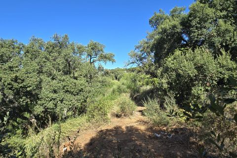 Helårsgrund i Sotogrande, Cadiz, Sotogrande - € 1.000.000 | Ref: 428-01275P - foto 11
