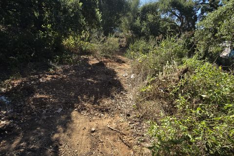 Helårsgrund i Sotogrande, Cadiz, Sotogrande - € 1.000.000 | Ref: 428-01275P - foto 14