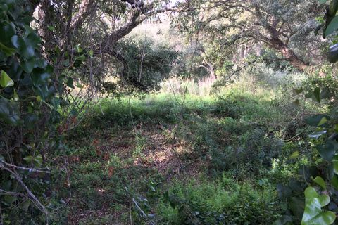 Helårsgrund i Sotogrande, Cadiz, Sotogrande - € 1.000.000 | Ref: 428-01275P - foto 16