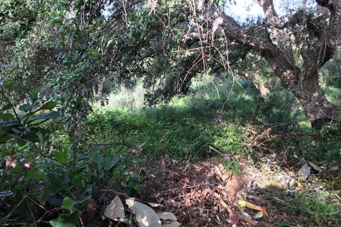 Helårsgrund i Sotogrande, Cadiz, Sotogrande - € 1.000.000 | Ref: 428-01275P - foto 17