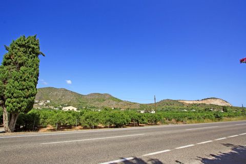 Helårsgrund i Pego, Alicante, Pego - € 1.600.000 | Ref: xpg00700 - foto 3