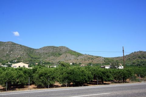 Helårsgrund i Pego, Alicante, Pego - € 1.600.000 | Ref: xpg00700 - foto 6