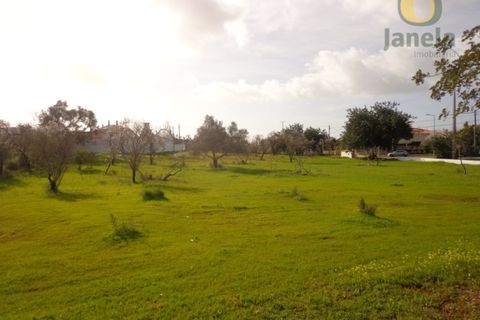 Helårsgrund i Almancil, Faro, Almancil - € 1.500.000 | Ref: TER13139 - foto 3