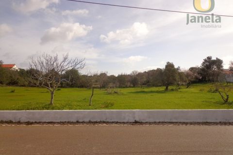 Helårsgrund i Almancil, Faro, Almancil - € 1.500.000 | Ref: TER13139 - foto 4