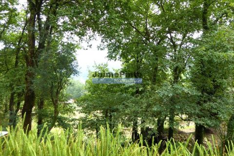 Villa a Terras de Bouro, Braga, Terras de Bouro - € 4.000.000 | Ref: 9250_M - foto 4