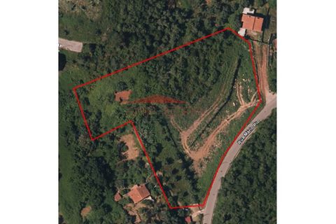 Helårsgrund i Coimbra, Coimbra, Coimbra - € 198.000 | Ref: 230220 - foto 7