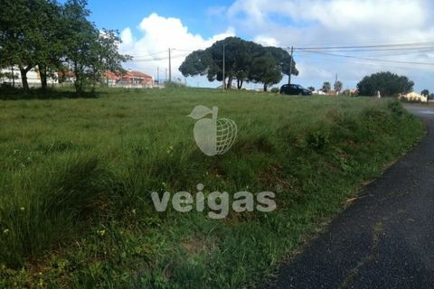 Helårsgrund i Obidos, Leiria, Obidos - € 120.000 | Ref: CAL-212452 - foto 2