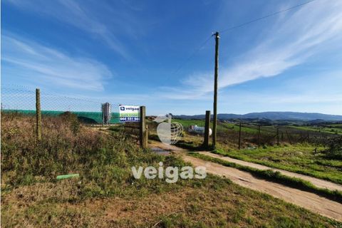 Helårsgrund i Cadaval, Lisbon, Cadaval - € 175.000 | Ref: CAL-209514 - foto 2