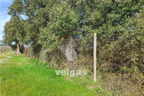 Helårsgrund i Cadaval, Lisbon, Cadaval - € 175.000 | Ref: CAL-209514 - foto 3