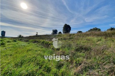 Helårsgrund i Cadaval, Lisbon, Cadaval - € 175.000 | Ref: CAL-209514 - foto 4