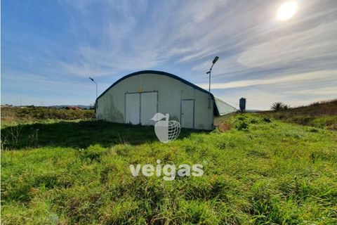 Helårsgrund i Cadaval, Lisbon, Cadaval - € 175.000 | Ref: CAL-209514 - foto 5