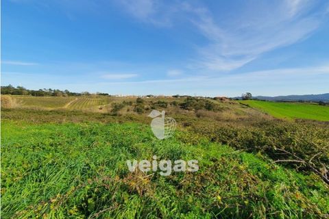 Helårsgrund i Cadaval, Lisbon, Cadaval - € 175.000 | Ref: CAL-209514 - foto 6