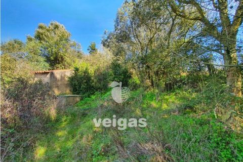 Helårsgrund i Cadaval, Lisbon, Cadaval - € 175.000 | Ref: CAL-209514 - foto 8