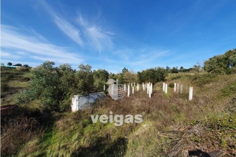 Helårsgrund i Cadaval, Lisbon, Cadaval - € 175.000 | Ref: CAL-209514 - foto 9