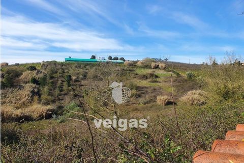 Helårsgrund i Cadaval, Lisbon, Cadaval - € 175.000 | Ref: CAL-209514 - foto 10