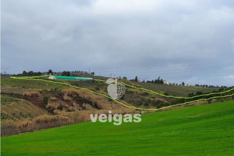 Helårsgrund i Cadaval, Lisbon, Cadaval - € 175.000 | Ref: CAL-209514 - foto 11