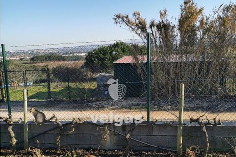 Helårsgrund i Bombarral, Leiria, Bombarral - € 85.000 | Ref: CAL-209529 - foto 3
