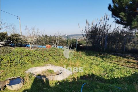 Helårsgrund i Bombarral, Leiria, Bombarral - € 85.000 | Ref: CAL-209529 - foto 4