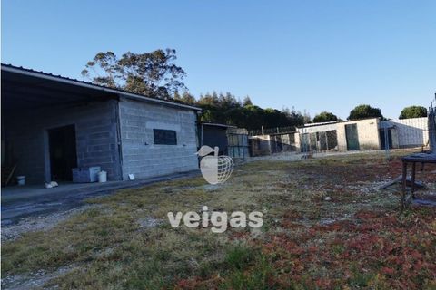 Helårsgrund i Bombarral, Leiria, Bombarral - € 85.000 | Ref: CAL-209529 - foto 6