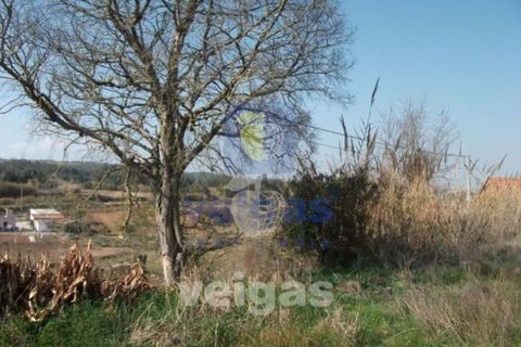 Helårsgrund i Obidos, Leiria, Obidos - € 90.000 | Ref: CAL-205098 - foto 2