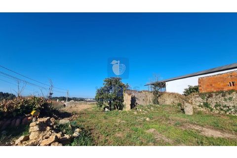 Helårsgrund i Obidos, Leiria, Obidos - € 90.000 | Ref: CAL-205098 - foto 6