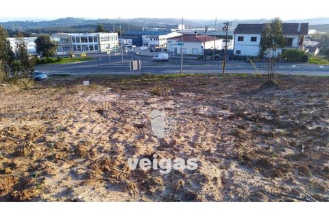 Terra a Gaeiras, Leiria, Gaeiras - € 150.000 | Ref: CAL-204755 - foto 2