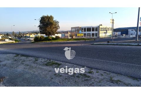 Terra a Gaeiras, Leiria, Gaeiras - € 150.000 | Ref: CAL-204755 - foto 3