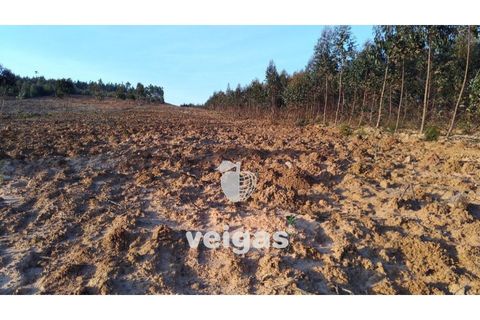Terra a Gaeiras, Leiria, Gaeiras - € 150.000 | Ref: CAL-204755 - foto 4