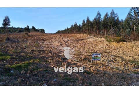 Terra a Gaeiras, Leiria, Gaeiras - € 150.000 | Ref: CAL-204755 - foto 5